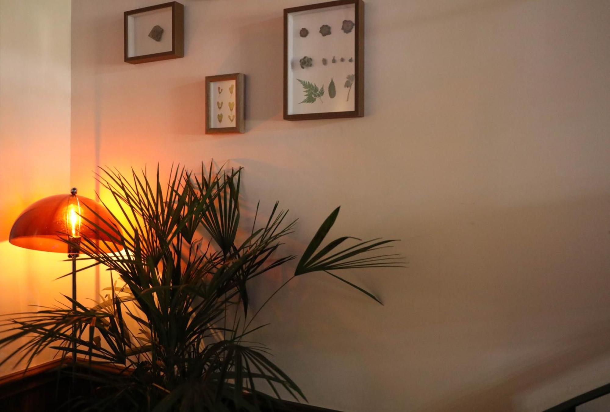 Sonderia Lazybones Hostel- Wenshu Temple Side, Chill Hostel With All-Day Brunch, Travel Agency In English & Local Bar Vibes Chengdu Esterno foto